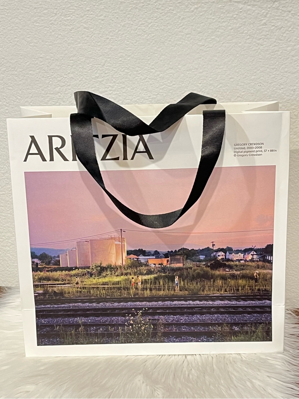 Aritzia Gregory Crewdson Paper Shopping / Gift Bag